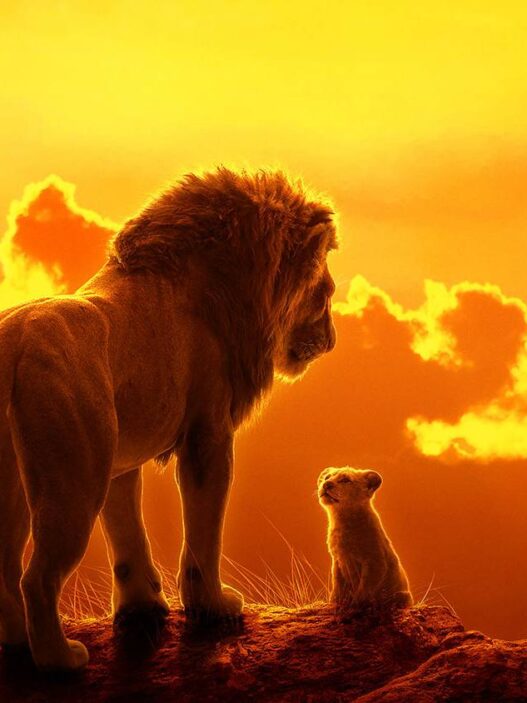 10 Mudanças em Live-Actions Disney que Ofendem os Clássicos