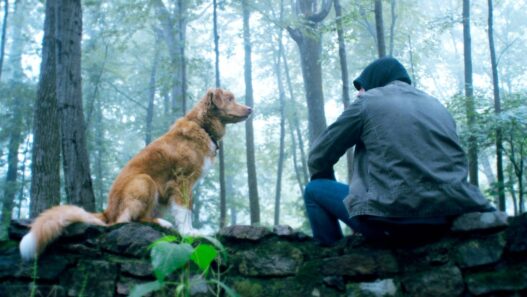 The Gorge: Novo trailer do terror recordista aumenta a ansiedade