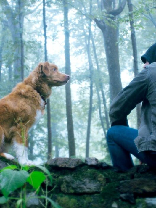 The Gorge: Novo trailer do terror recordista aumenta a ansiedade