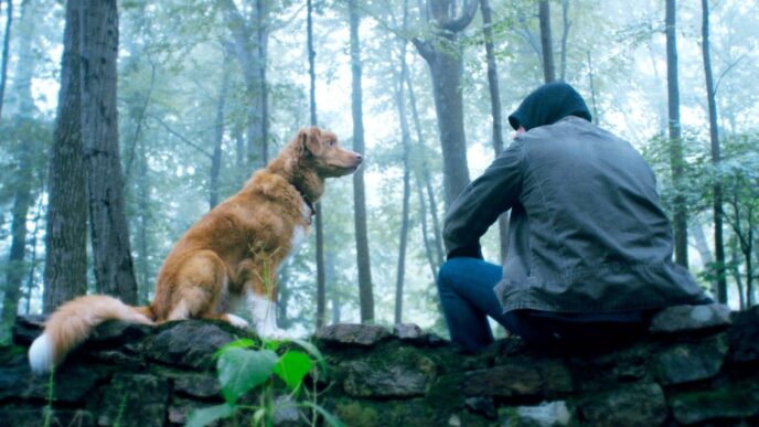 The Gorge: Novo trailer do terror recordista aumenta a ansiedade