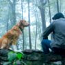 The Gorge: Novo trailer do terror recordista aumenta a ansiedade