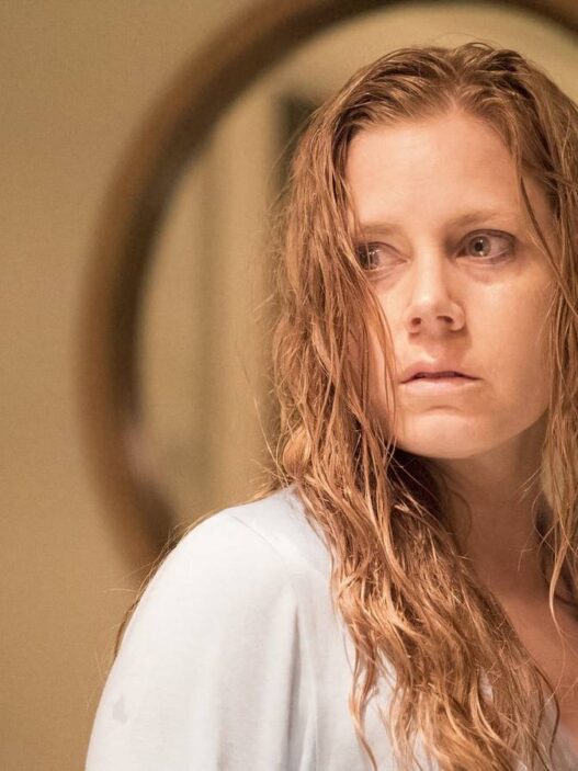 10 Séries de Thriller com Finais Perfeitos (Nº 1 Imperdível)
