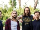 Reboot de Animal Kingdom? Estrela indica retorno de personagem favorito