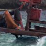 The Meg 2: O Abismo: Melhor Filme de Tubarão Desde Tubarão?