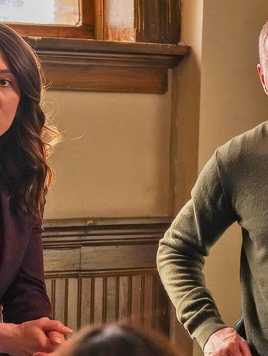 Atualização do relacionamento Voight/Chapman em Chicago P.D. deixará os fãs furiosos