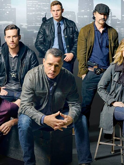 Retorno surpresa em Countdown: Chicago P.D. na 2ª temporada