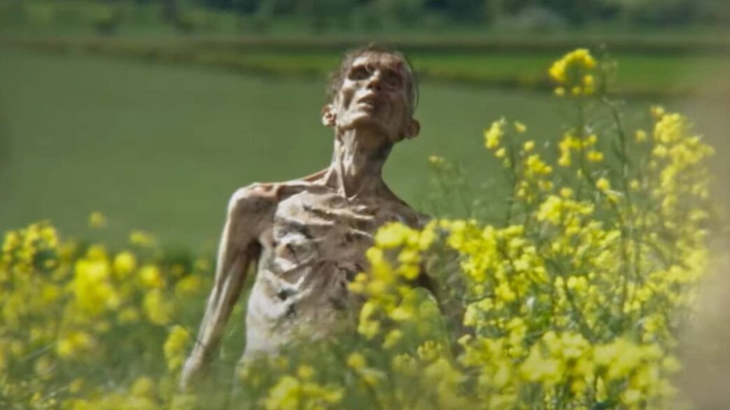 Cillian Murphy Responde a Rumores de Zumbis em Trailer de '28 Dias Depois'