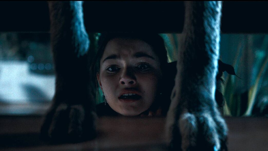 Coyotes: Nova imagem revela motivo para temer os animais