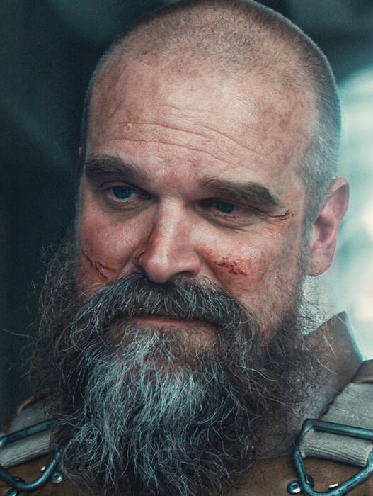 Retorno de David Harbour ao MCU: Ator revela detalhes