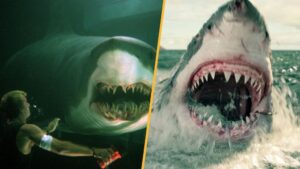5 Filmes de Tubarão Mais Empolgantes Desde Tubarão
