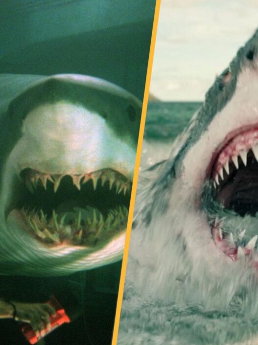5 Filmes de Tubarão Mais Empolgantes Desde Tubarão