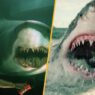 5 Filmes de Tubarão Mais Empolgantes Desde Tubarão