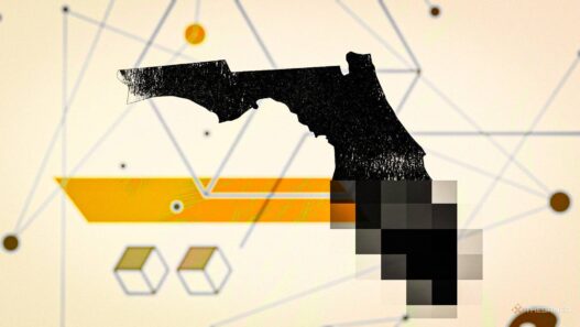 Ação Legal contra Sites de Jogos Adultos na Flórida