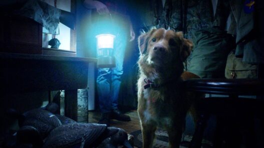 Novo trailer de 'Good Boy' promete terror comovente