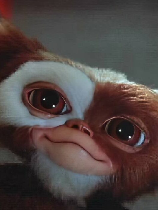 LEGO Gremlins: Adote Gizmo com o novo set
