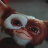 LEGO Gremlins: Adote Gizmo com o novo set