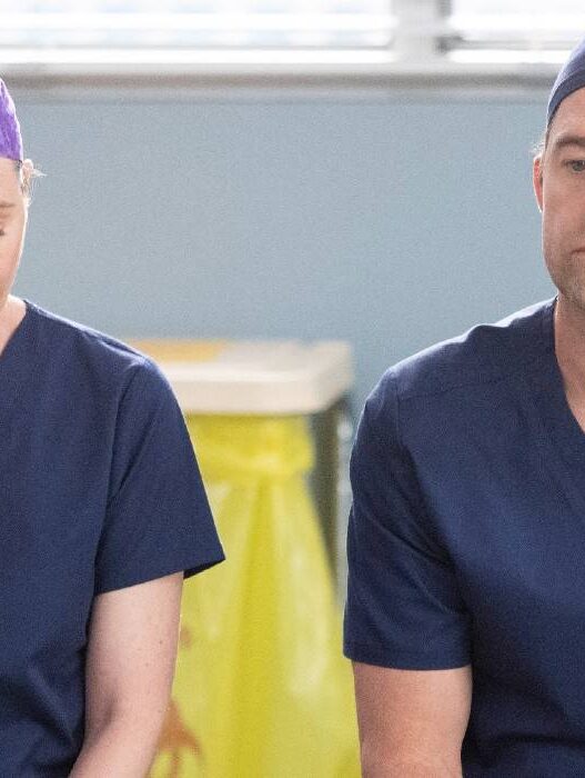O pior casal de Grey's Anatomy precisa se separar na 22ª temporada