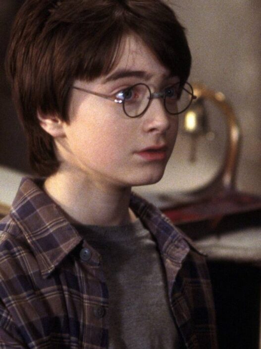 James Potter em série da HBO: Ator retorna, mas com novo papel