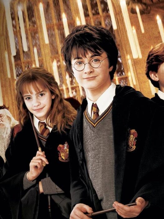 Harry Potter e a Câmara Secreta lidera charts no streaming