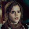 Livro de fã de Harry Potter vira filme de USu0024 3 milhões: Reações na web são implacáveis