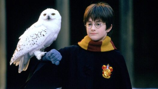 Harry Potter e a Câmara Secreta de volta ao topo: sucesso 24 anos depois