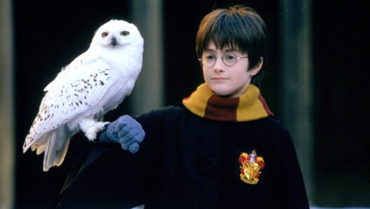 Harry Potter e a Câmara Secreta de volta ao topo: sucesso 24 anos depois