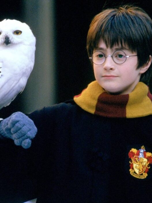 Harry Potter e a Câmara Secreta de volta ao topo: sucesso 24 anos depois