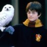 Harry Potter e a Câmara Secreta de volta ao topo: sucesso 24 anos depois