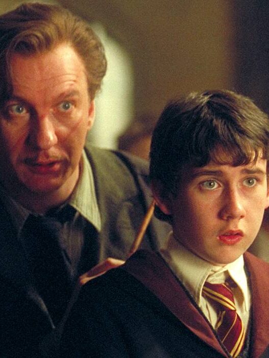 Performances Subestimadas em Harry Potter que Merecem Mais Amor