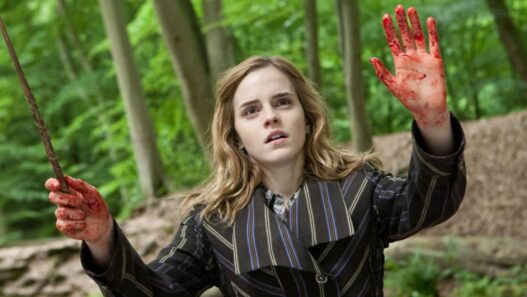 6 Maiores Problemas com Hermione em Harry Potter