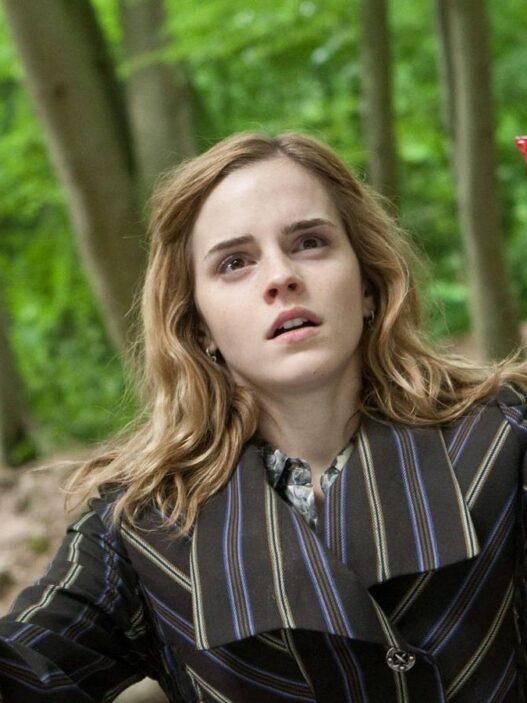 6 Maiores Problemas com Hermione em Harry Potter