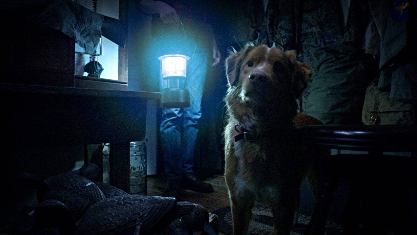 The Gorge: Filme de terror canino de 73 minutos levou o dobro do tempo de O Senhor dos Anéis