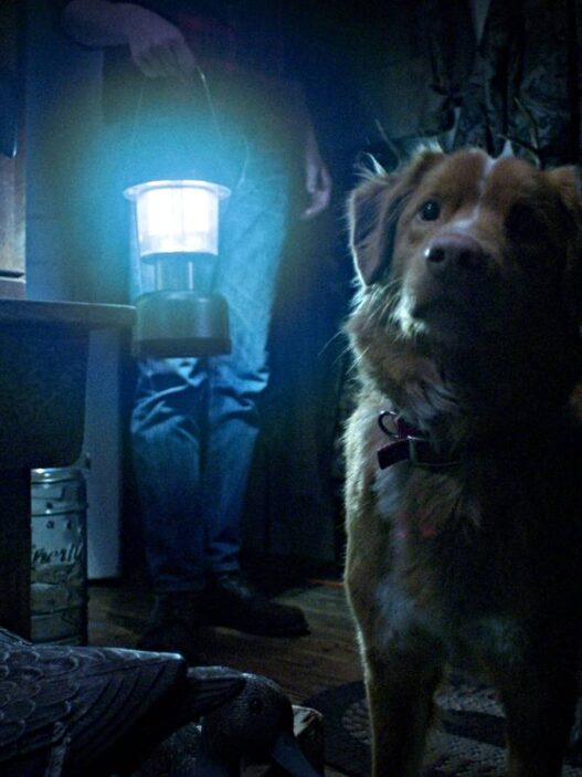 The Gorge: Filme de terror canino de 73 minutos levou o dobro do tempo de O Senhor dos Anéis