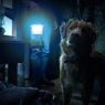 The Gorge: Filme de terror canino de 73 minutos levou o dobro do tempo de O Senhor dos Anéis
