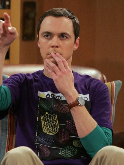 Young Sheldon: Série com 96% de aprovação é sucesso para fãs de The Big Bang Theory