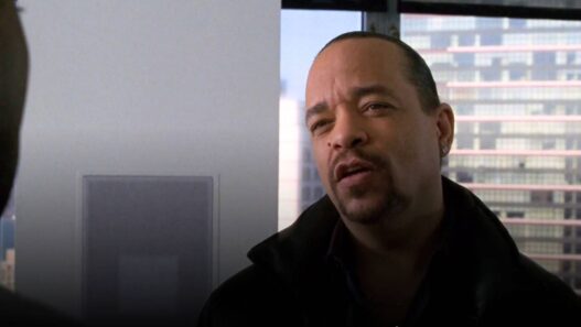 Ice-T critica o papel de Fin em Law & Order: SVU