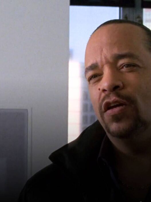 Ice-T critica o papel de Fin em Law & Order: SVU