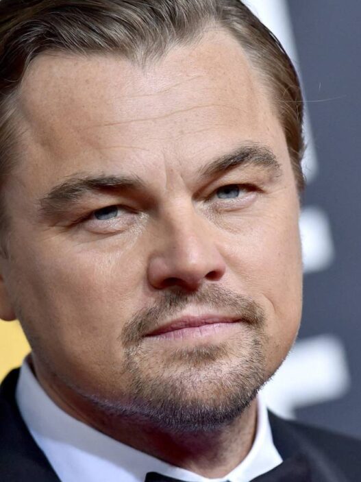DiCaprio em novo filme de USu0024 115 milhões: futuro de bilheteria histórica