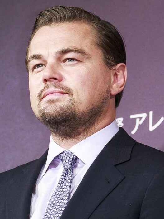 DiCaprio: Drama com 97% de aprovação para no meio da produção