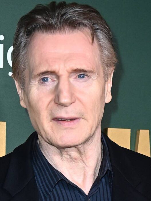 Liam Neeson em novo thriller na Netflix: sucesso apesar das críticas