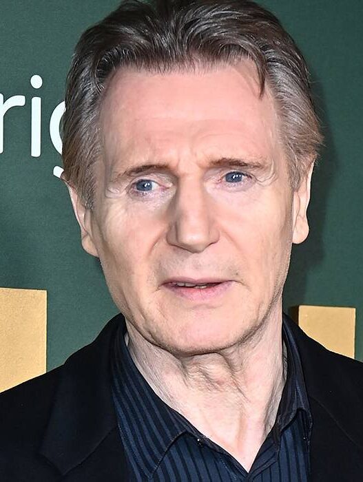 Liam Neeson: Comédia 'Honest Thief' Sai do Streaming Antes do Esperado