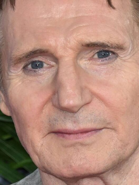 Liam Neeson: As 8 Franquias de Filmes Ranqueadas