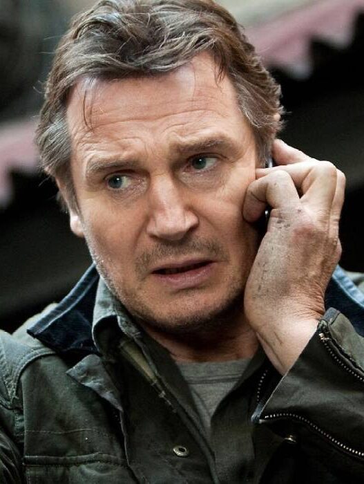 Liam Neeson: Melhor que Taken? Um filme de 2008 prova isso