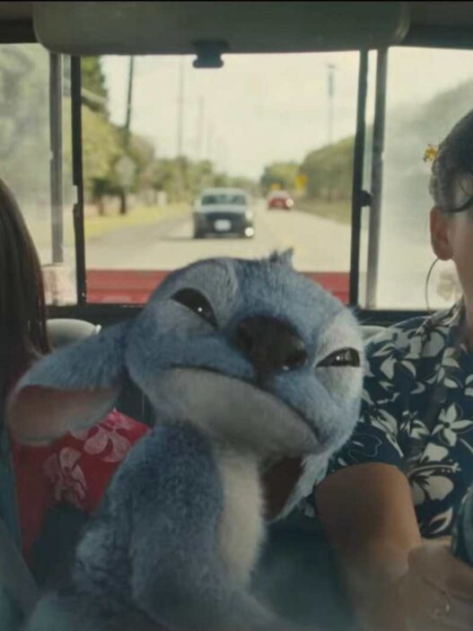 3 Filmes na Disney+ para Assistir Após Lilo & Stitch