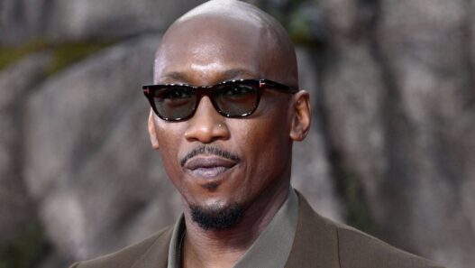 Retorno de Heróis na Marvel: Trailer Sangrento Mostra Fase 5