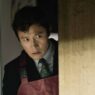 No Other Choice: Park Chan-wook e um Thriller Divertido