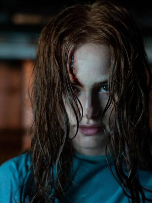 The Gorge: Novo terror psicológico decepciona na crítica