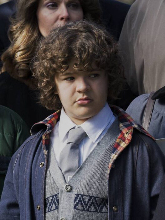 Stranger Things: Problema de Dustin Henderson é resolvido antes da 5ª temporada