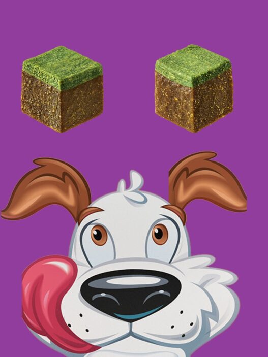 Purina e Minecraft: parceria para o Dia Nacional dos Games