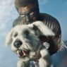 Cena deletada de Superman: Krypto e herói da DC unem forças